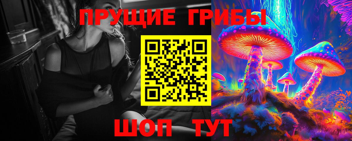 Галлюциногенные грибы Psilocybe Майкоп